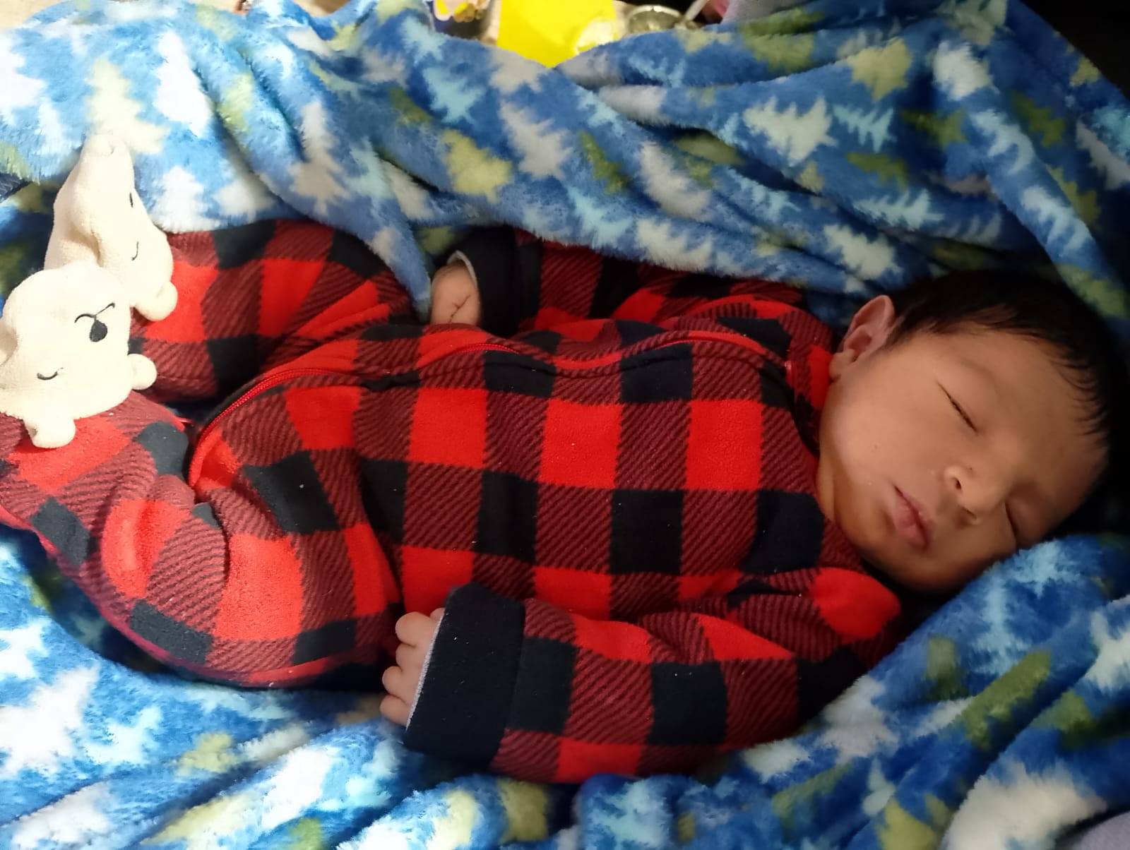 Tuve un hijo