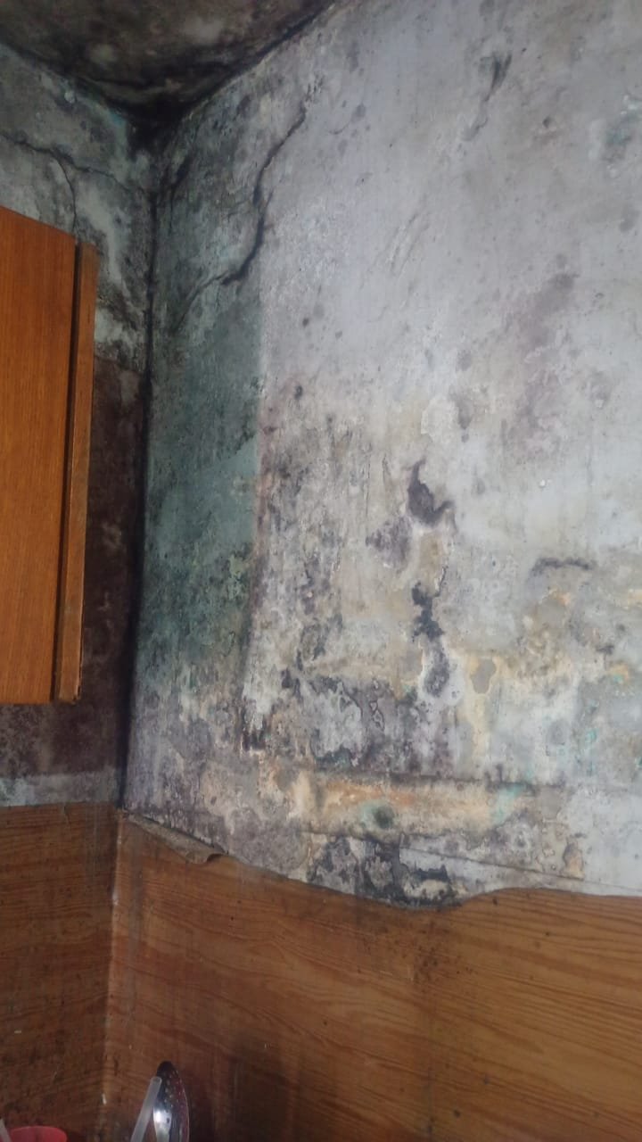 Vivienda